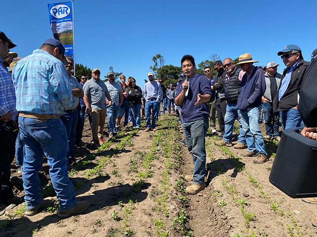 Man talks while surrounded by a crows of people, all looking down at the furrows in the ground with small green plants growing.