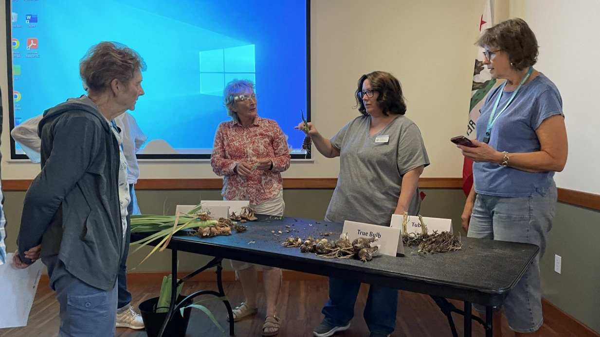 Four women in a room talking with each other; a zoom screen in the background.