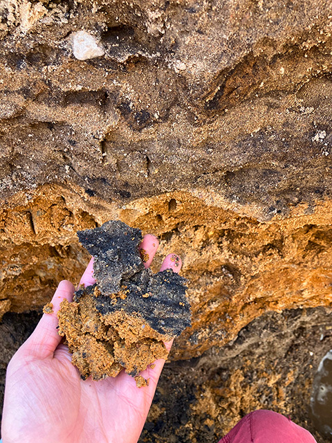 A person's hand holding soil. Some is tan and some is dark brown. Behind we see layers of different-colored soils.