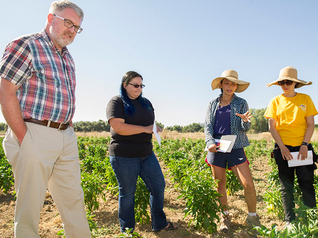 Four people talking in a sunny field with plants, one gray-haired man wearing a plaid shirt. UC Davis Department of Plant Sciences