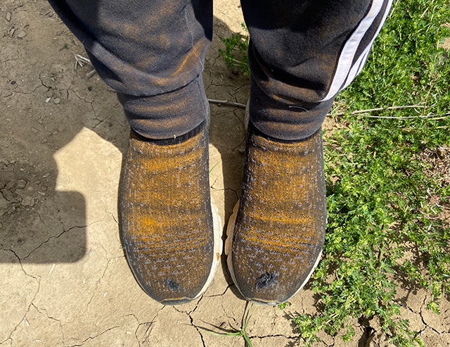 Top-down view of dark sneakers and pants, covered with a fine, orange powder. Standing on cracked concrete. UC Davis Department of Plant Sciences