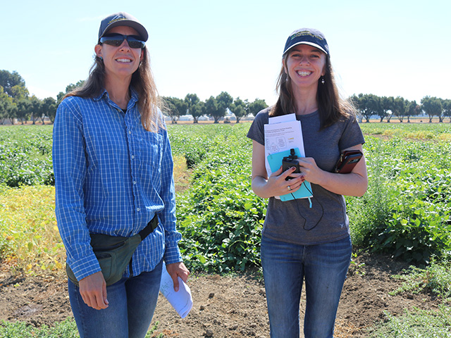 Two women, dressed casually and wearing ballcaps, stand in a field of low, bushy, green plants