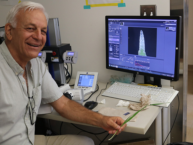 Man at a desk smiling, in front of a computer monitor with a colorful image of a sharp bell-like curve. He's holding a green plant stem. UC Davis Department of Plant Sciences