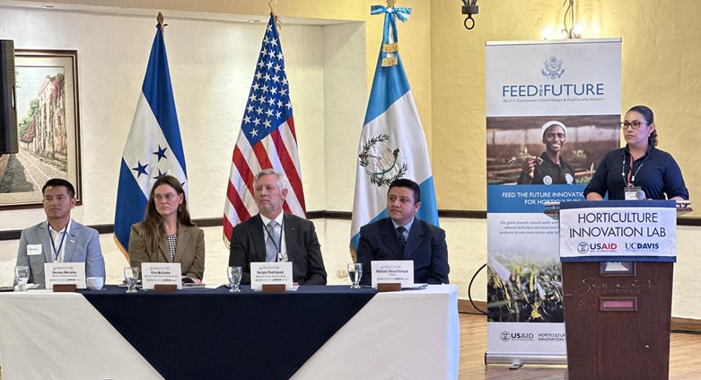 Official-looking image with people sitting in a room at a long table and national flags behind them.