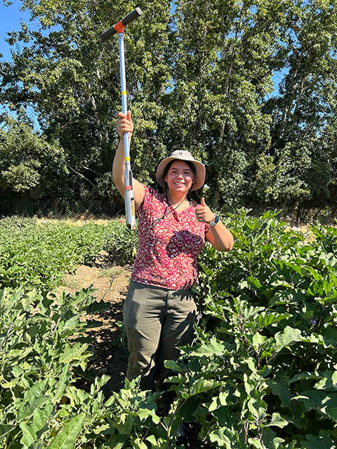 Young woman smiles, wearing a sun hat in a crop field and holding a long pole and giving thumbs-up. UC Davis Department of Plant Sciences
