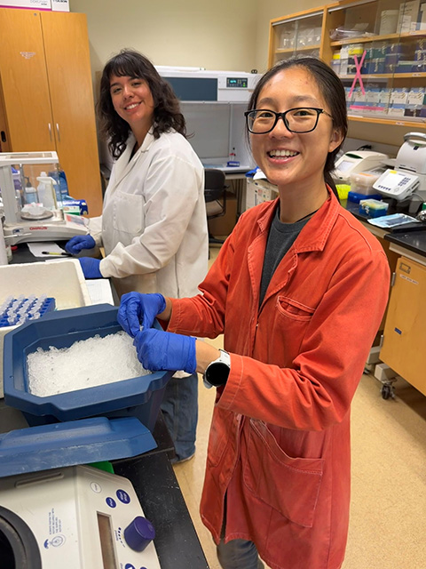 Two smiling young female scientists, one in a which coat and the other in an orange coat, wearing gloves and handling small tubes and a cooler in a lab. UC Davis Department of Plant Sciences