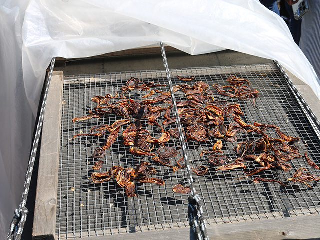 Small, shriveled reddith disk-like things on a rack