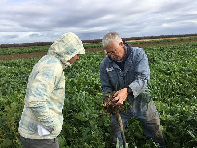 Man and woman in a flat field with green crops. Man is holding a bunch of plants, showing the roots and soil.