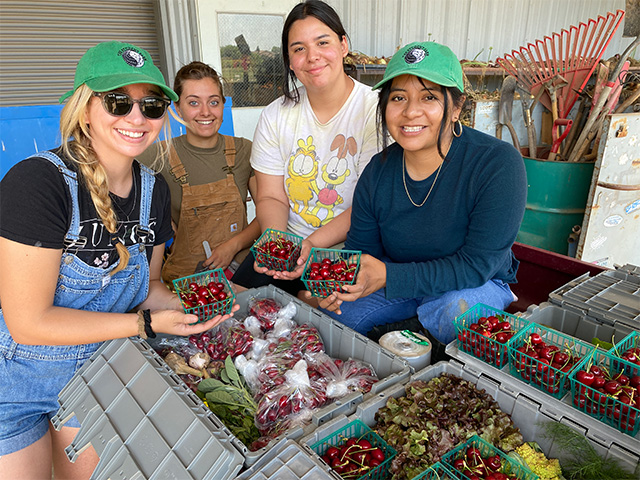 Three young women hold boxes of fresh produce
