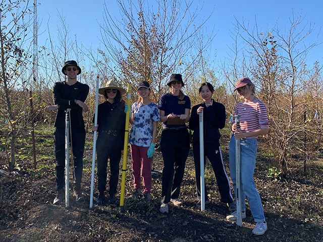 Six young people stand among trees with the leaves yellow and starting to fall, with a blue sky in the background.
