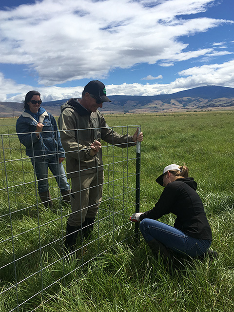 Three people in a broad pasture. Dramatic clouds scattered across a blue sky. Mountains on the far horizon.