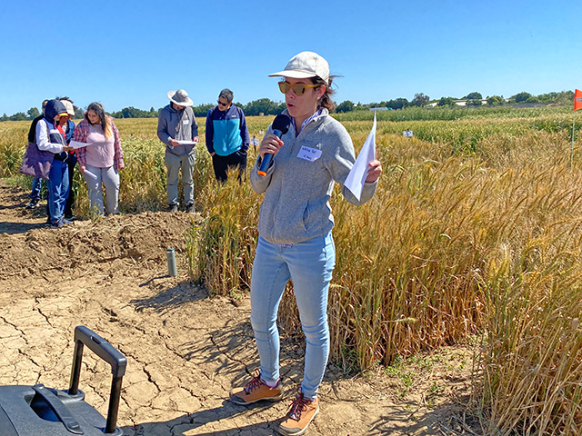 Women standing in front of tall, golden grain, holding a microphone.