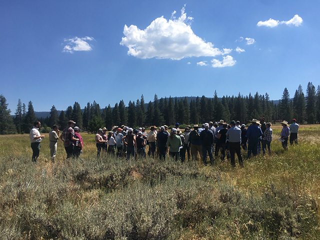 A large group of people listening to a speaker while standing on an open rangeland, with mountain and trees in background.