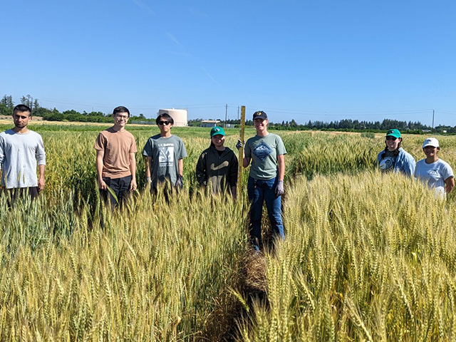 Several young people stand at medium distance in a field with knee-high, light-brown grass.
