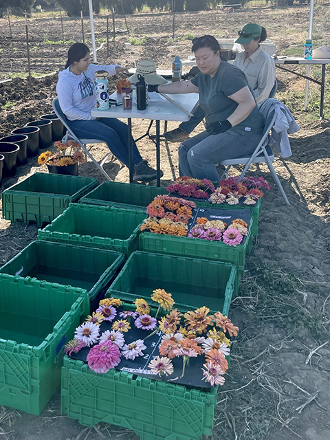 Under a pop-up tent, three young people sit in chairs. In the foreground are buckets of brightly colored flowers.
