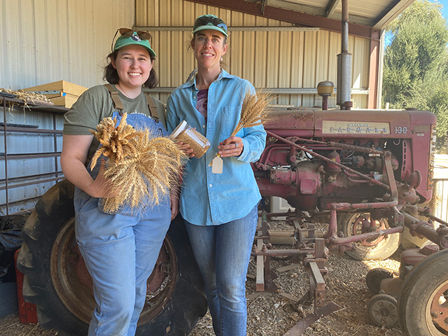 Two women in a rustic building, holding small sheafs of a stiff, brown, spiky plant.