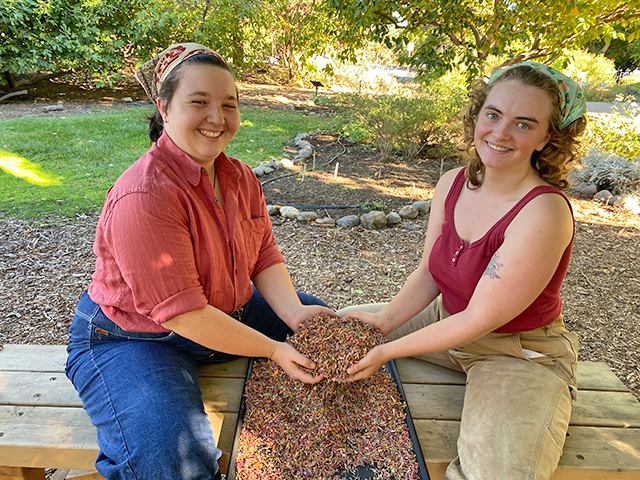 Two young women smiling while holding a tray of colorful dried flowers outdoors.