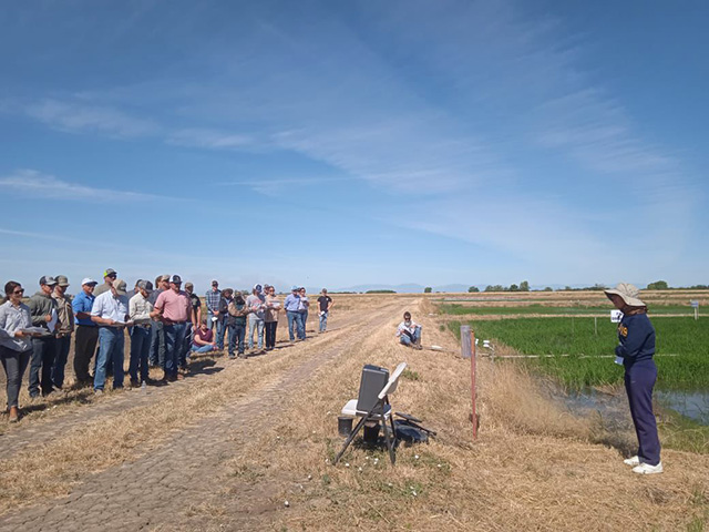 On the right, a person in a broad-brimmed hat speaking at the edge of a field of green spikey plants. In front of the speaker, across a dirt road, a large crowd of people stand and listen.