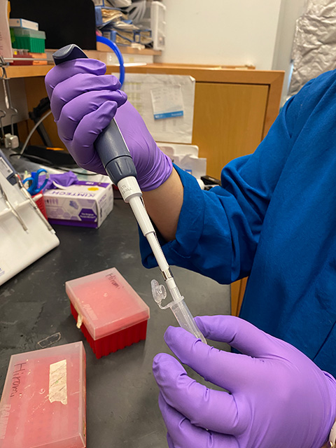 Close-up: We see a person's arms in a blue labcoat. Hands are covered with purple latex gloves and hold a syringe, pumping liquid into a test tube held in the other hand.