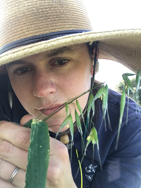 Close-up of young woman wearing a hat and holding a strand of long green grass.