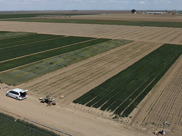 Aerial photograph of rectangular crop fields with workers and a white truck on dirt road