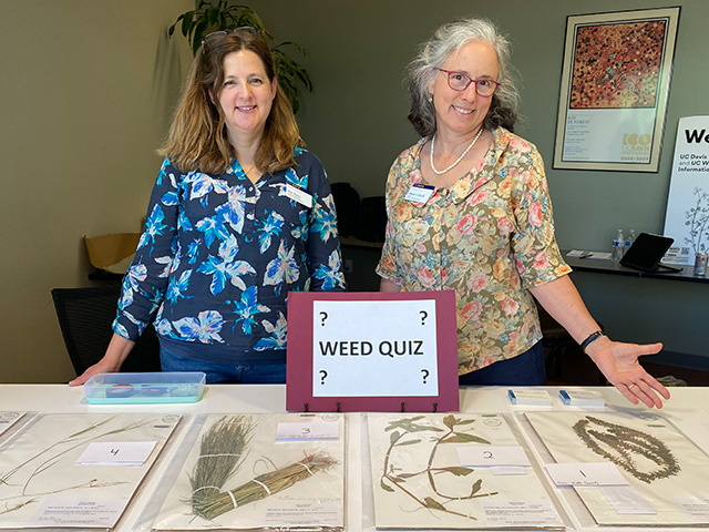 Two women stand at a counter indoors. On the counter are dried plants on large sheets of paper