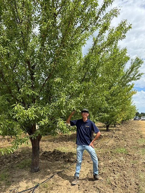 A young man standing by a green leafy tree in an orchard.