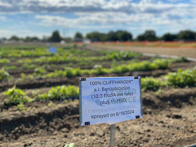 A white sign reads, "100% Cliffhanger," with the words, "Sprayed on 6/18/24)"