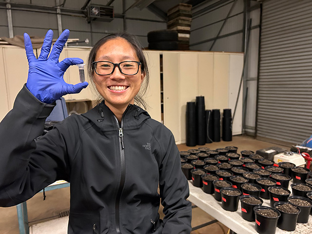 Smiling young woman in glasses wearing blue glove holdsup  round vial in warehouse with small black plastic pots. UC Davis Department of Plant Sciences