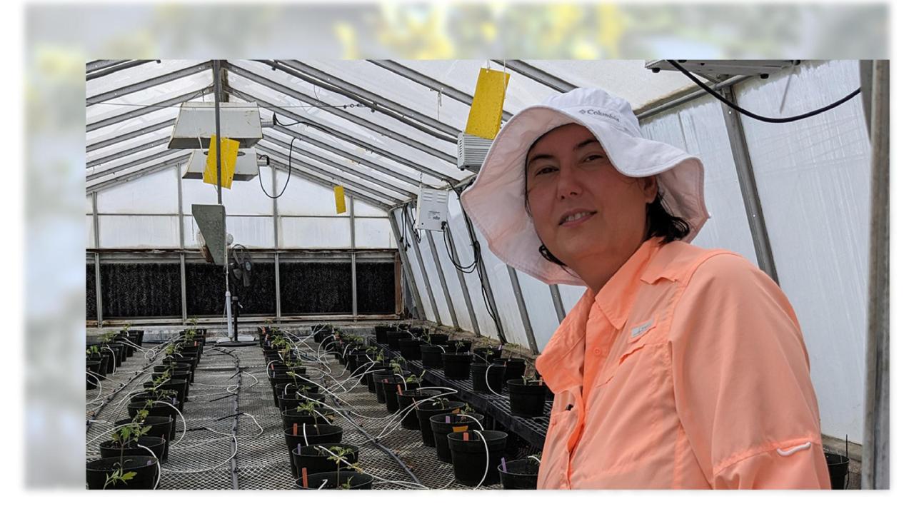 Woman in a greenhouse with very small tomato plants