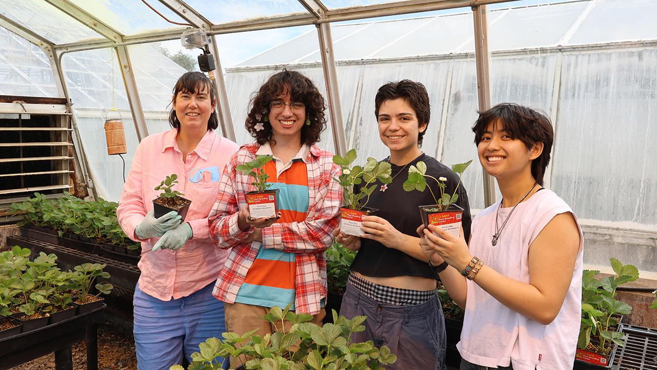 Four smiling young people in a greenhouse holding small plastic pots with seedlings. UC Davis Department of Plant Sciences