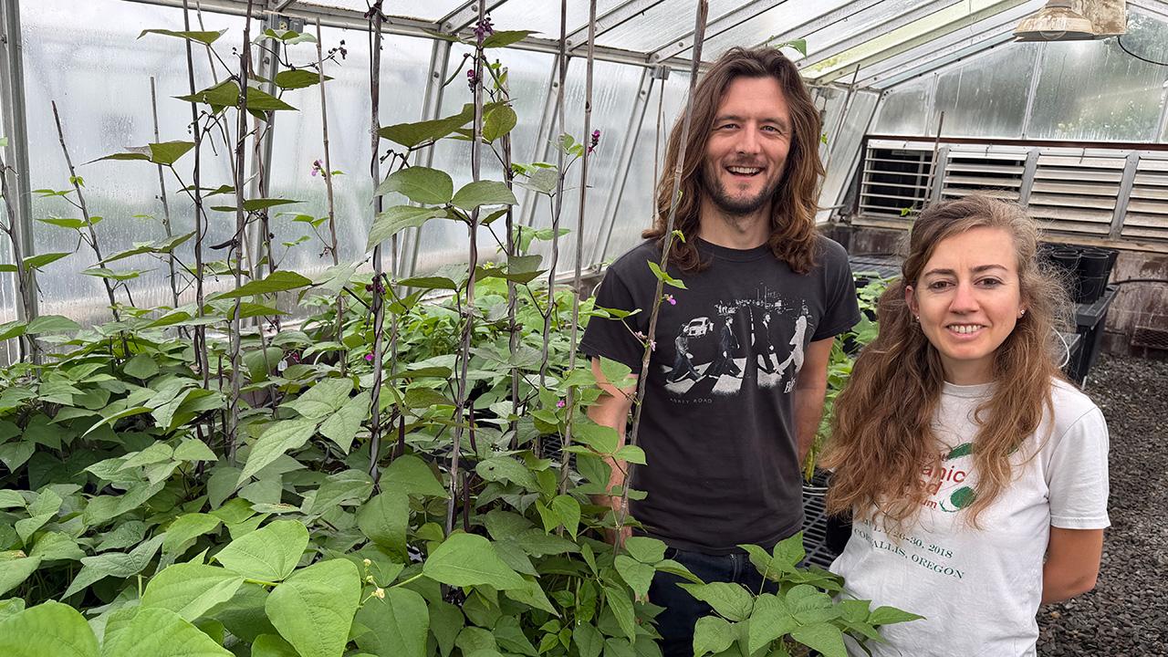 A man and a woman smiling and standing among tall climbing, vine-like plants in a greenhouse. UC Davis Department of Plant Sciences