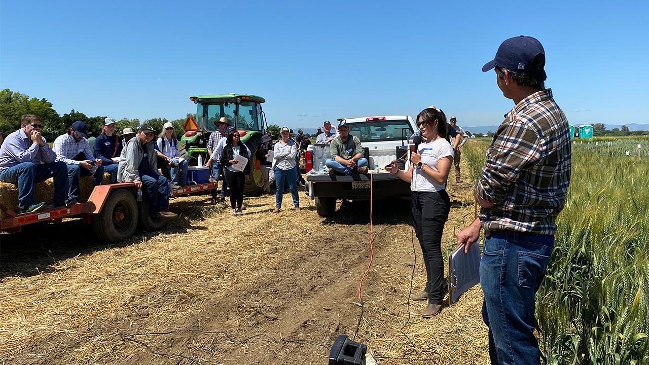 A woman holds a microphone in front of a small crowd, with a field behind her and blue sky above