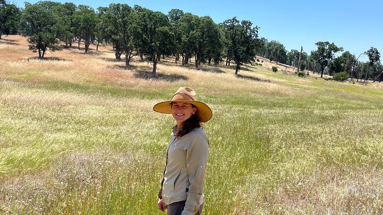 Young woman wearing a hat and standing amid tall golden grass in a slooping, hilly area, with trees around the edge.