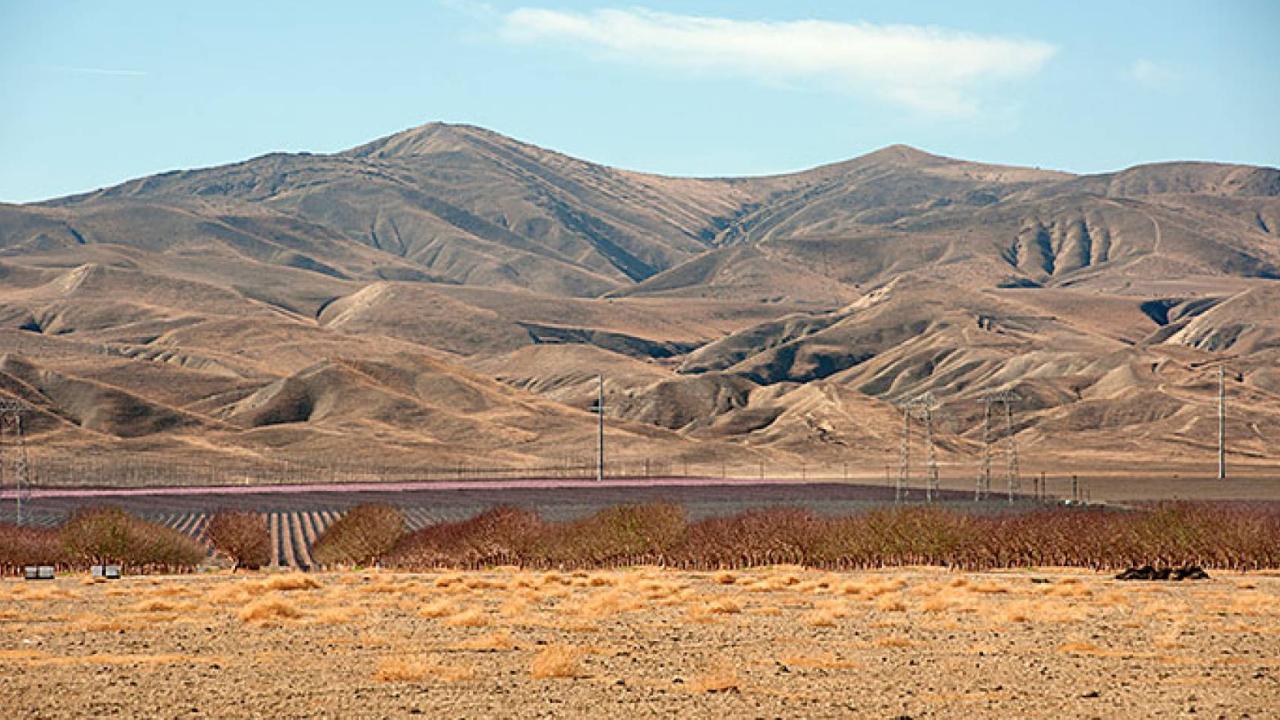 Dry hillsides rise above dry fields. Brown, brown, brown