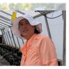 Woman in a greenhouse with very small tomato plants