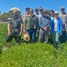 A large group of people standing together in an open field with low bushy green plants.