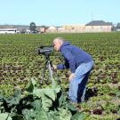 Man with a video camera in a field of green leafy vegetables