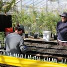Two man in a greenhouse filled with plants